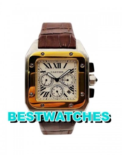 Cartier Replica Uhren Santos 100 W20091X7 - 42 MM